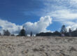 The Last Sand Dune