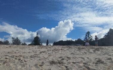 The Last Sand Dune