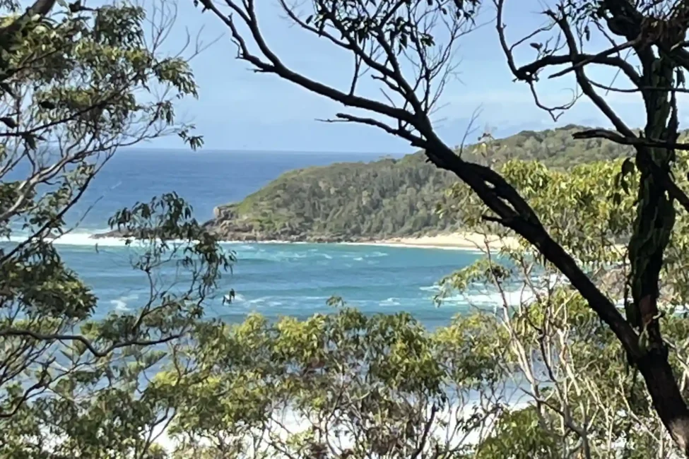 Booti Track walking trail through Booti Booti National Park